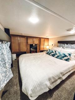 Timberwolf - Springtown - 6