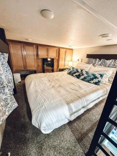 Timberwolf - Springtown - 8
