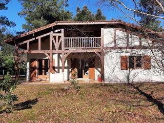 Maison Landaise avec Jardin, 4 Ch, Proche Plages et Golf à Seignosse - FR-1-239-600 - Seignosse - 5