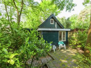 In the middle of the Gooise landscape, cleaning included - Huizen - 9