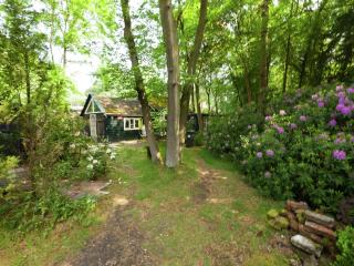 In the middle of the Gooise landscape, cleaning included - Huizen - 5