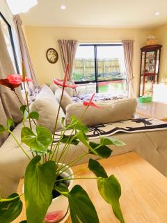 Entire house in West Auckland - 6