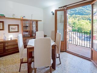 Apartment in Boí near Ski Slopes, cleaning included - Bohí - 6