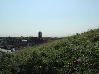 Chic Holiday Home in Callantsoog Forest nearby - Callantsoog - 5