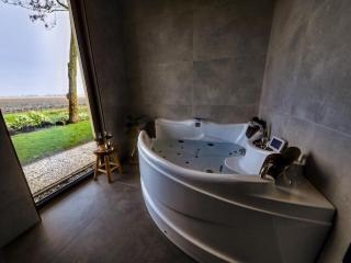 Wellness Bungalow with whirlpool and sauna, cleaning included - Zevenhuizen - 5