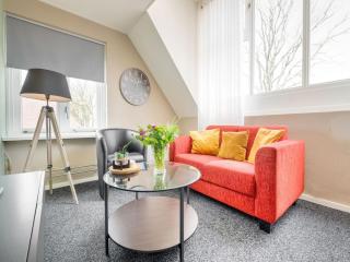 Holiday Home in Elim near Slagharen Park, cleaning included - Elim - 0