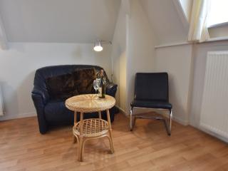 Apartment in Bergen aan Zee near the Beach, cleaning included - Bergen aan Zee - 2