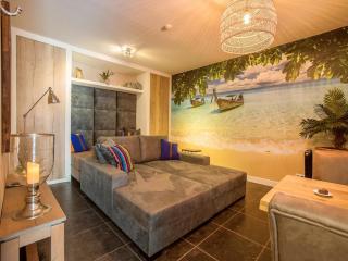 Holiday apartment with starry sky pool, cleaning included - Culemborg - 4