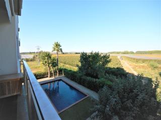 Apartment in St Pere Pescador near Seaside, cleaning included - Sant Pere Pescador - 1