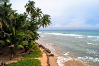 Ocean Reef Hotel - 1