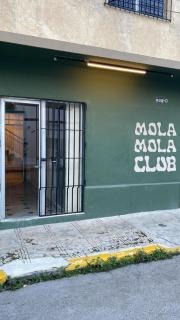 Mola Mola Rooms - Mérida - 7