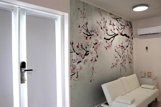 Cherry Blossom Suite - Tampa - 9