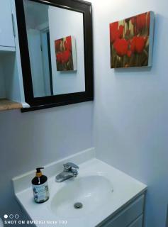 Executive room in a cozy Apt - 2