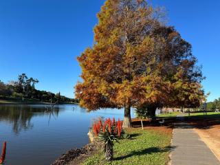 BelleVue Luxury Cottage - A serene waterfront escape! - Durbanville - 0