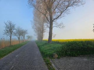 Deichblick - Wangerland - 8