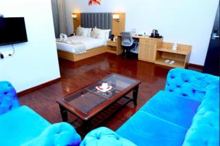 Comfort Inn, Udaipur - Udaipur - 7