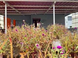 Guest house near Biec exhibition center - Bangalore - 1