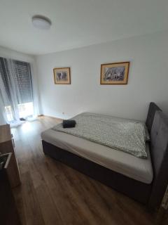 Budai Gate Apartment - Kecskemét - 9