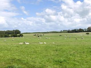 Brodie Cottage - Aspatria - 9
