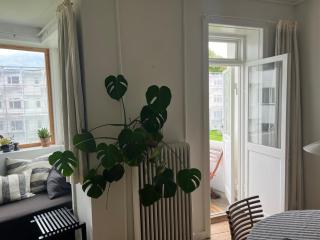 Apartment in quiet neighbourhood - Copenhagen - 9