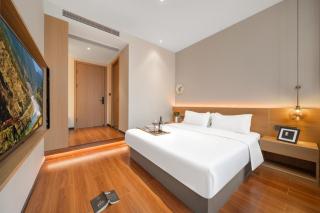 Heyo Hengyue Huasong Hot Spring Resort Hotel - Chongqing Hongyadong - Chongqing - 4