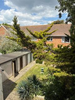 Pretty period property sleeps 4 guests with shared garden - Worthing - 5