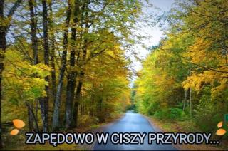Agroturystyka u Lusi - Rytel - 8