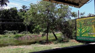 The Green Guest House - Polonnaruwa - 5