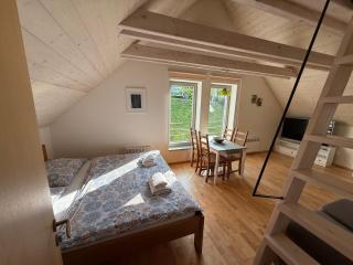 Apartmán U Venuše - 9