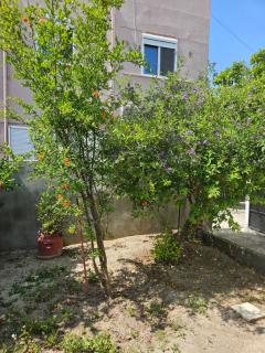 Pension Annoula - Archangelos - 5