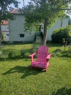 Flora - Drivenik - 6