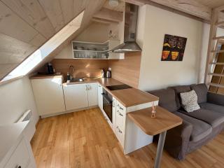 Apartmán U Venuše - 3