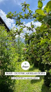 AlmaPort - Talghar - 9