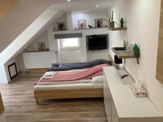 Rabbit apartman - Mosonmagyaróvár - 3