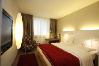 Hotel Victoria, BW Signature Collection - Friburgo in Brisgovia - 6