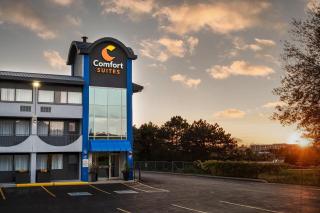 Comfort Suites Kingston Central - Kingston - 0