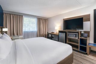 Comfort Suites Kingston Central - Kingston - 5