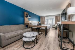 Comfort Suites Kingston Central - Kingston - 1