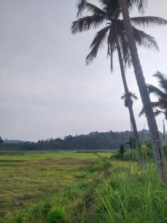 Jacob's Homestay - - 3