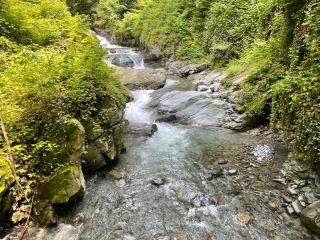 Green Corner - Lagodekhi - 9