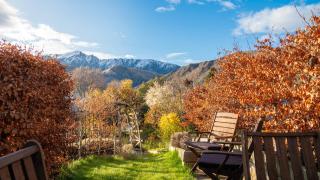 Arrowtown Gold - Elevated Two Bedroom Apartment - Arrowtown - 9