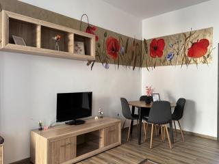 Flowers House Sibiu - Sibiu - 6