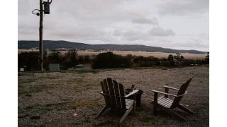 Baxter at Lake George Winery at Tiny Away - Collector - 9