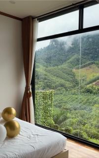 Camping phutajoy Khaosok แคมป์ปิ้งภูตาจ้อยเขาศก - Ban Thung Lang Tham - 4
