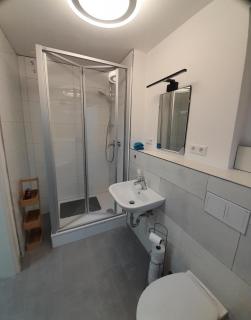 Apartment am Palmenhaus - Bad Schonborn - 3
