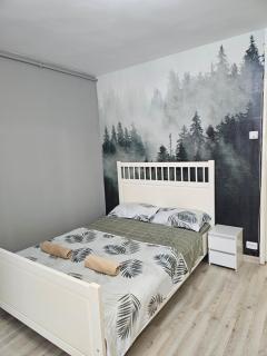 Forest Studio - 8