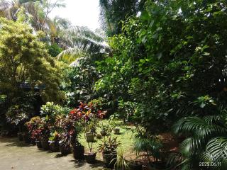 Private Guest Room 3 Bunks & Bath Rathanapitiya - 7