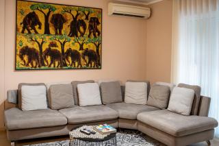 House Tirana Center - Tirana - 0