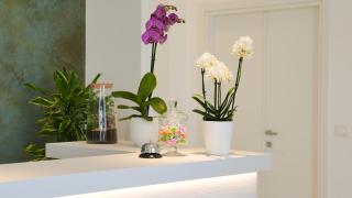 Albergo San Giorgio - Vieste - 2