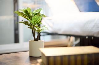 Residence Hotel KABUTO - Sapporo - 1